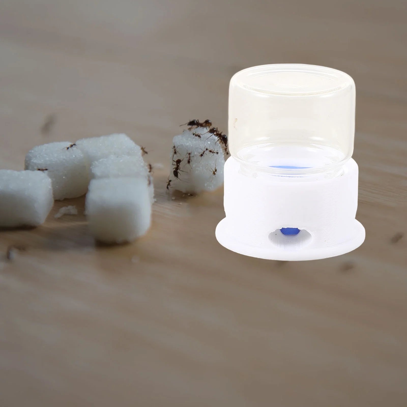 2Pcs Ant Feeding Station