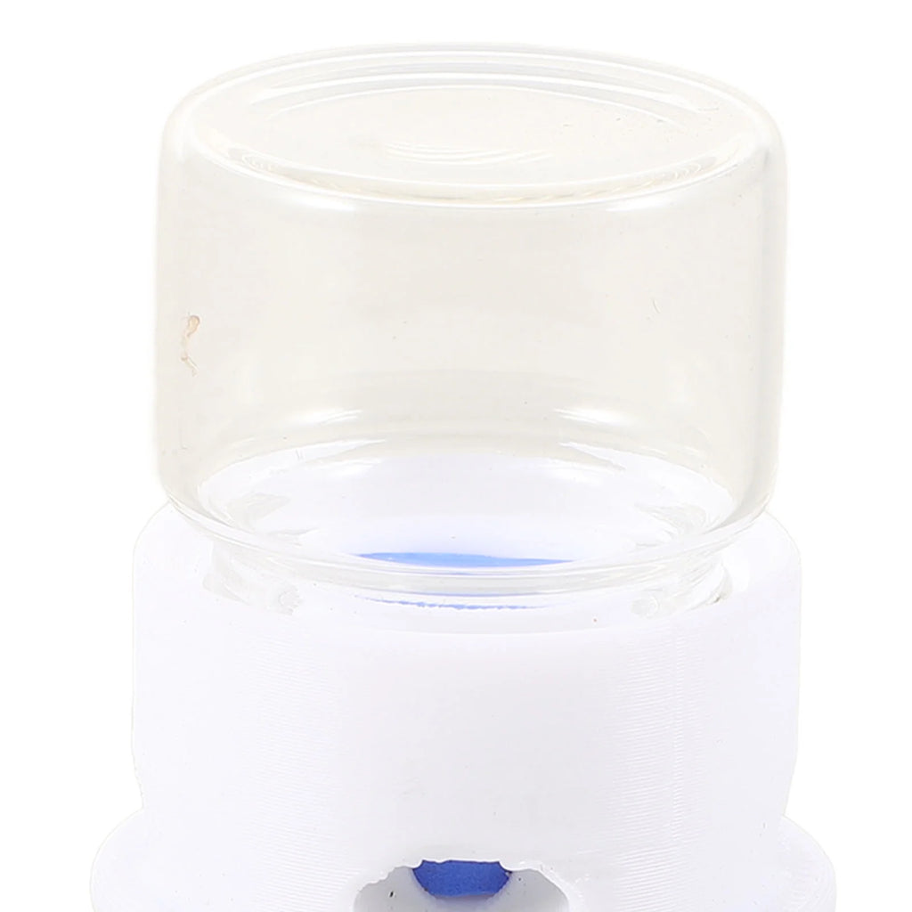 2Pcs Ant Feeding Station