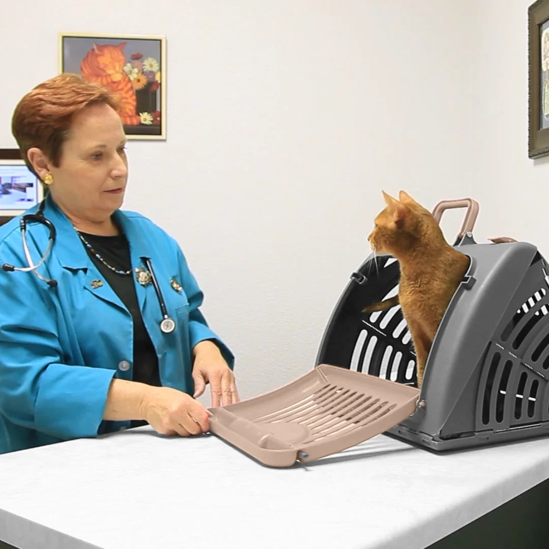 Designs Cat Carrier, Foldable Plastic, Medium, 25 Lb Limit, Gray, 15.25" L X 18.5" W X 14.25" H