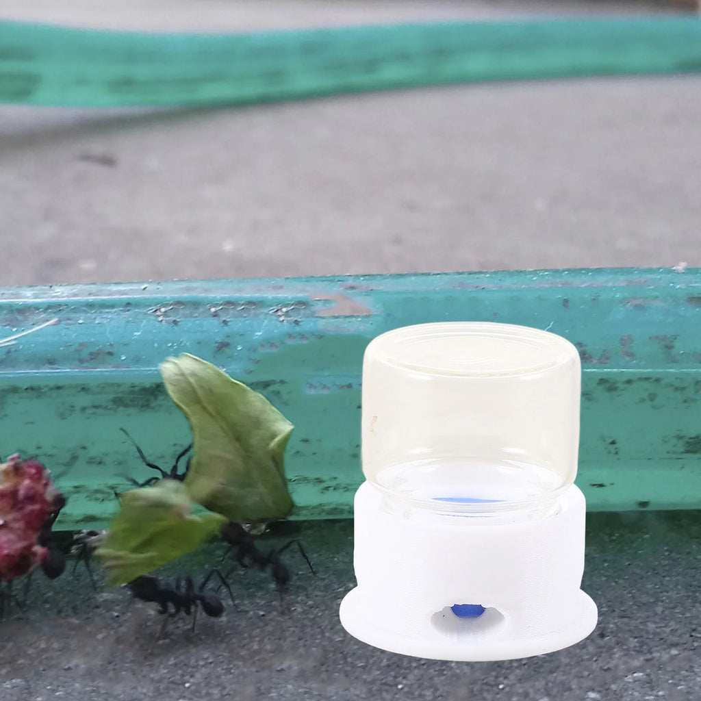 2Pcs Ant Feeding Station