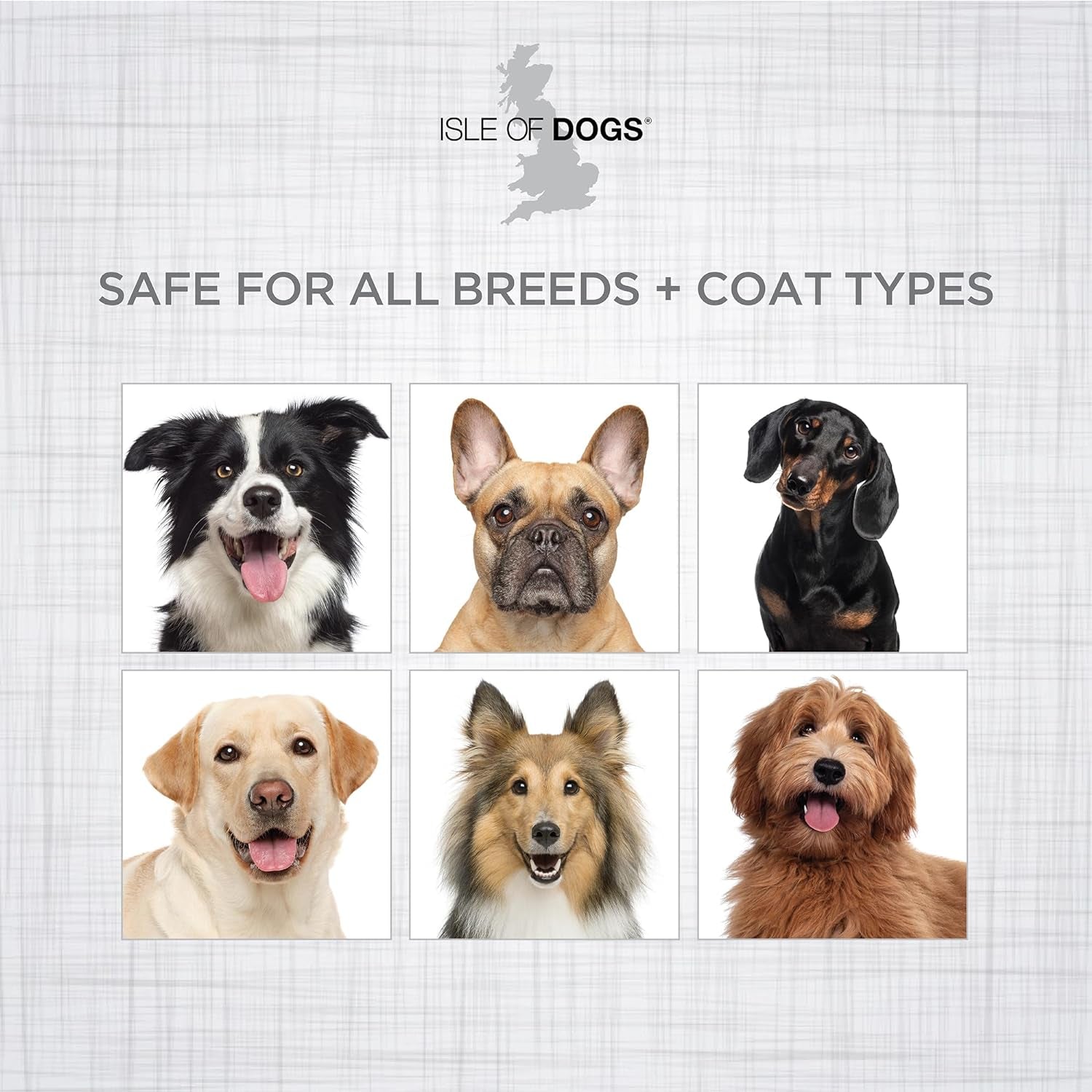 - Everyday Natural Luxury Tearless Puppy Shampoo - Cotton + Fresh Orchid - Sulfate & Paraben Free Formula - Gentle Pet Shampoo for Dogs of All Ages & Coat Types - Made in the USA - 1 Gal, (823-Gal)