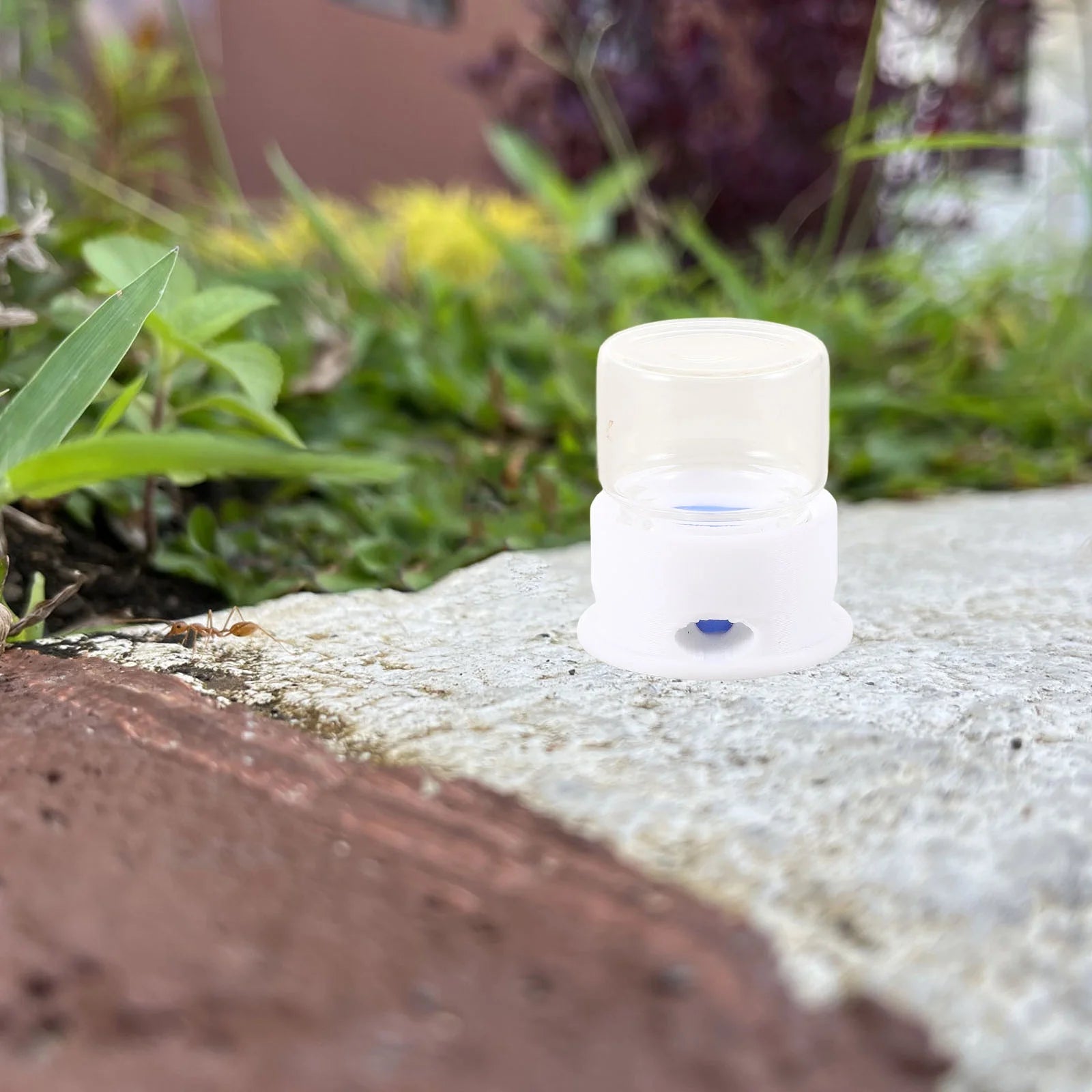 2Pcs Ant Feeding Station